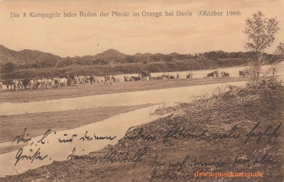   NR  2   DIE 3 KOMPAGNIE BEIM BADEN DER PFERDE IM ORANGE BEI DAVIS - OKTOBER 1909